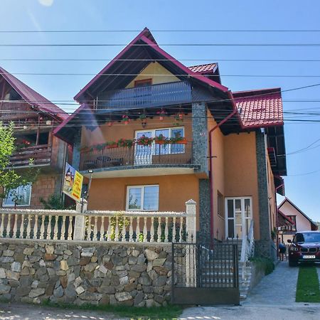 Casa Diana-Maria Διαμέρισμα Curtea de Argeş Εξωτερικό φωτογραφία