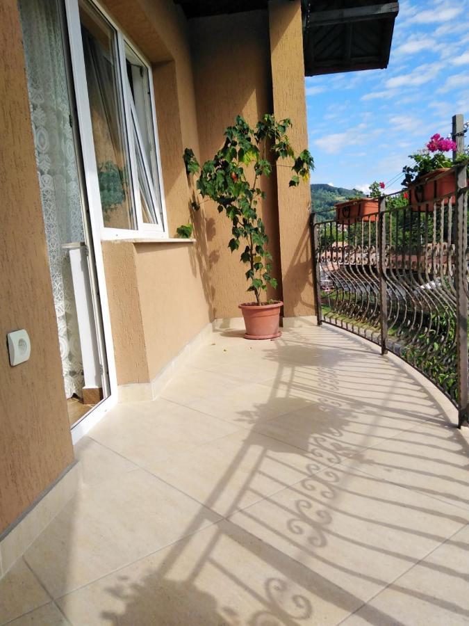 Casa Diana-Maria Διαμέρισμα Curtea de Argeş Εξωτερικό φωτογραφία
