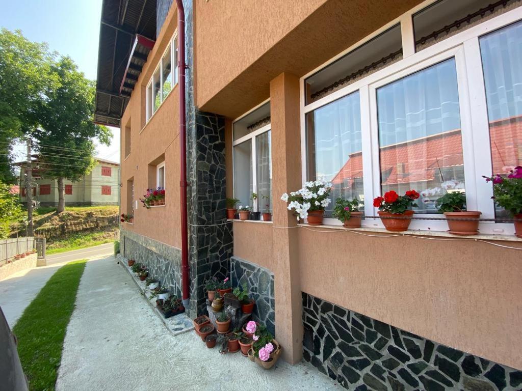 Casa Diana-Maria Διαμέρισμα Curtea de Argeş Εξωτερικό φωτογραφία