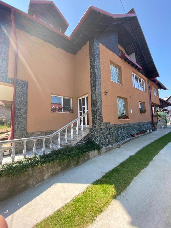 Casa Diana-Maria Διαμέρισμα Curtea de Argeş Εξωτερικό φωτογραφία