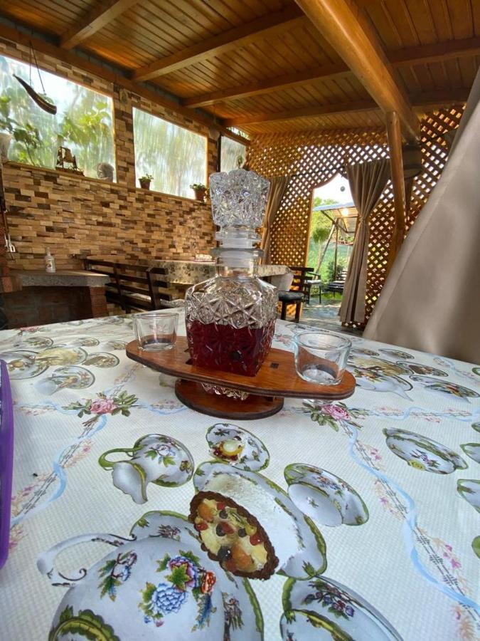 Casa Diana-Maria Διαμέρισμα Curtea de Argeş Εξωτερικό φωτογραφία