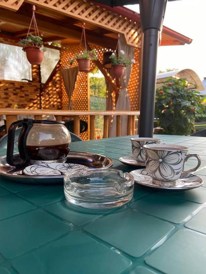 Casa Diana-Maria Διαμέρισμα Curtea de Argeş Εξωτερικό φωτογραφία
