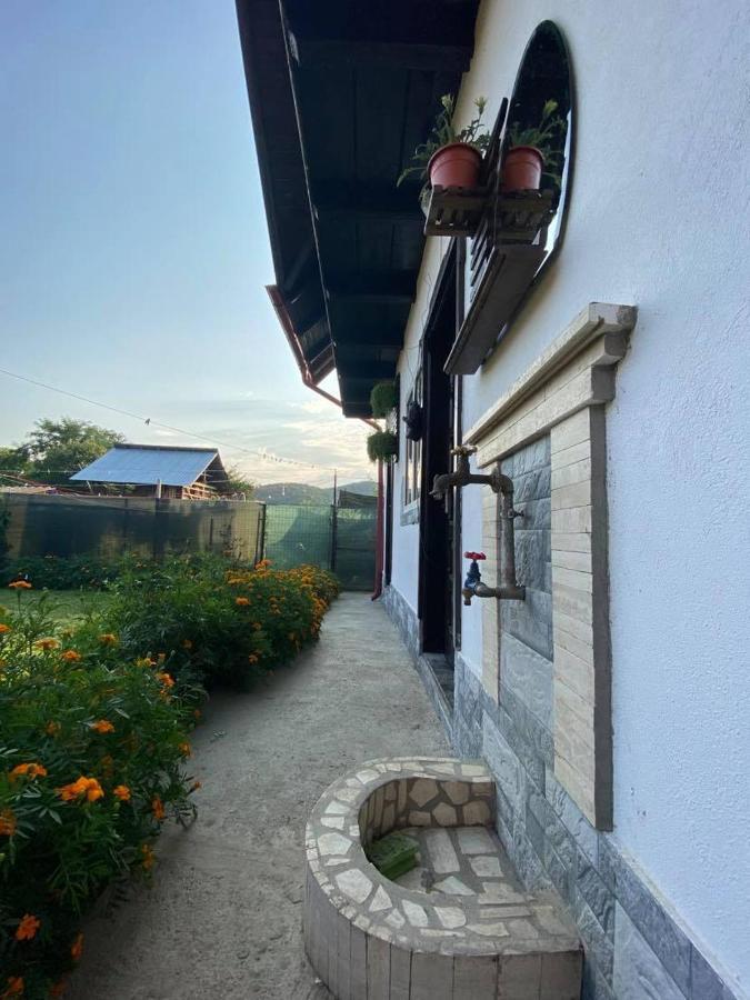 Casa Diana-Maria Διαμέρισμα Curtea de Argeş Εξωτερικό φωτογραφία