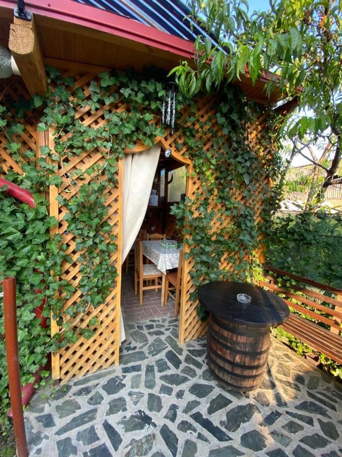 Casa Diana-Maria Διαμέρισμα Curtea de Argeş Εξωτερικό φωτογραφία
