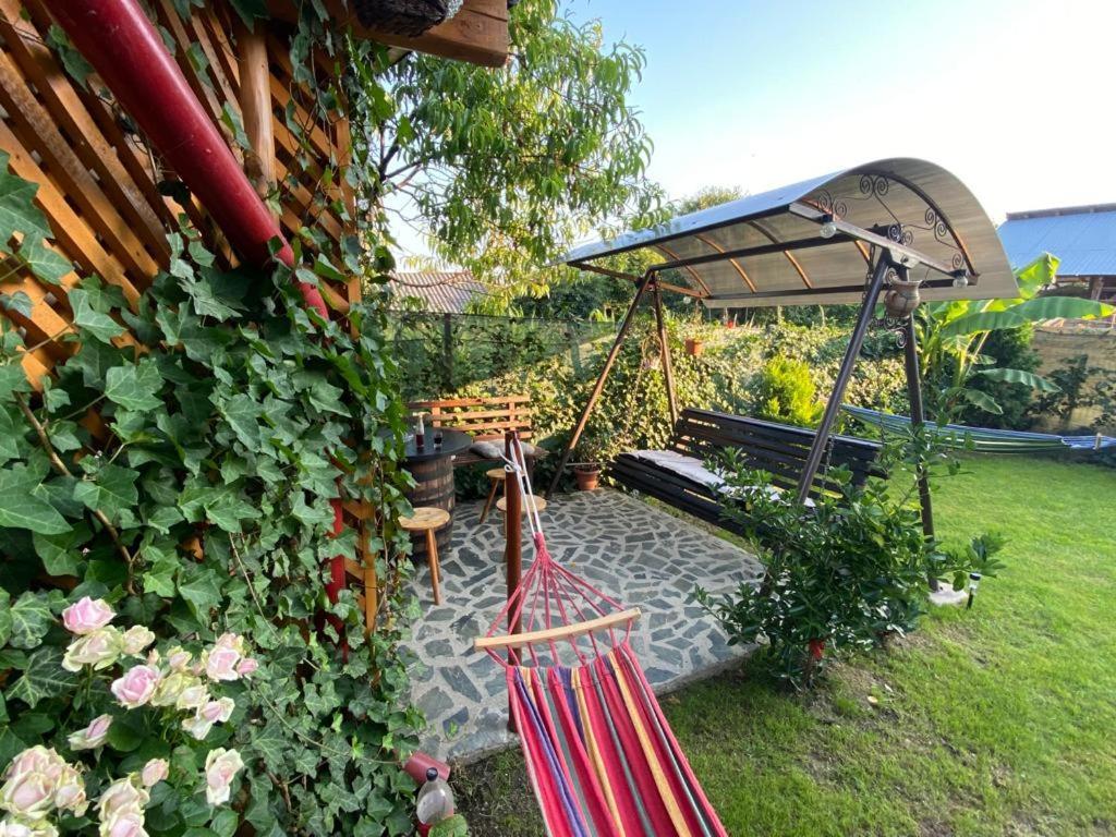 Casa Diana-Maria Διαμέρισμα Curtea de Argeş Εξωτερικό φωτογραφία