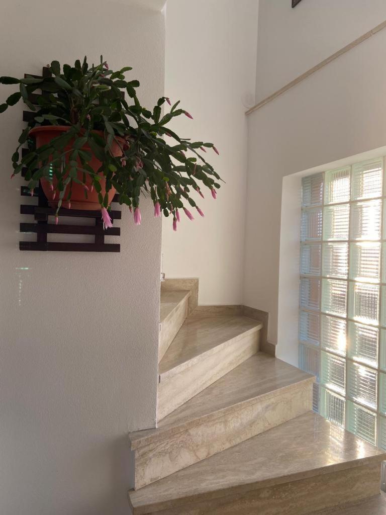 Casa Diana-Maria Διαμέρισμα Curtea de Argeş Εξωτερικό φωτογραφία