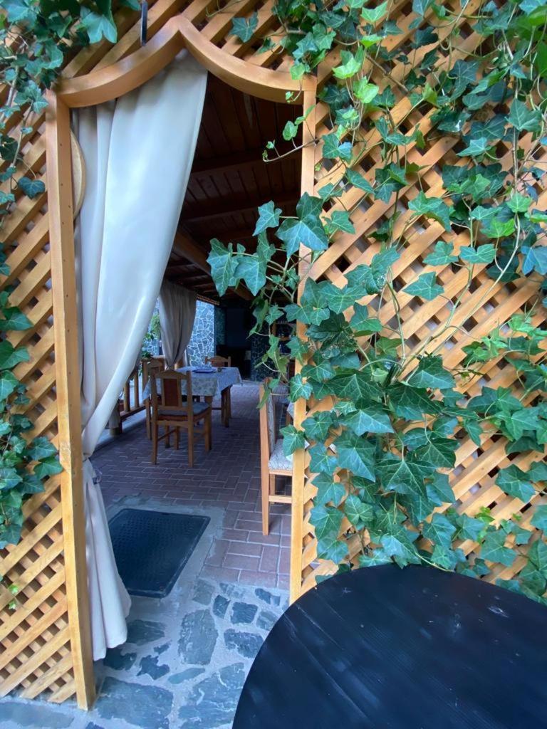 Casa Diana-Maria Διαμέρισμα Curtea de Argeş Εξωτερικό φωτογραφία